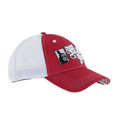 Pre Curved Peak Mesh Trucker Caps 3D ricamo Cap Baseball 4 pannelli
