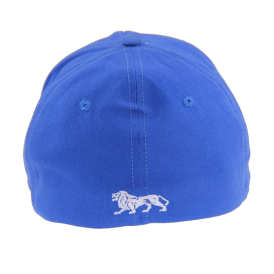 Cappelli da baseball blu con 6 pannelli ricamati, cappelli da baseball da uomo/donna per autunno/inverno